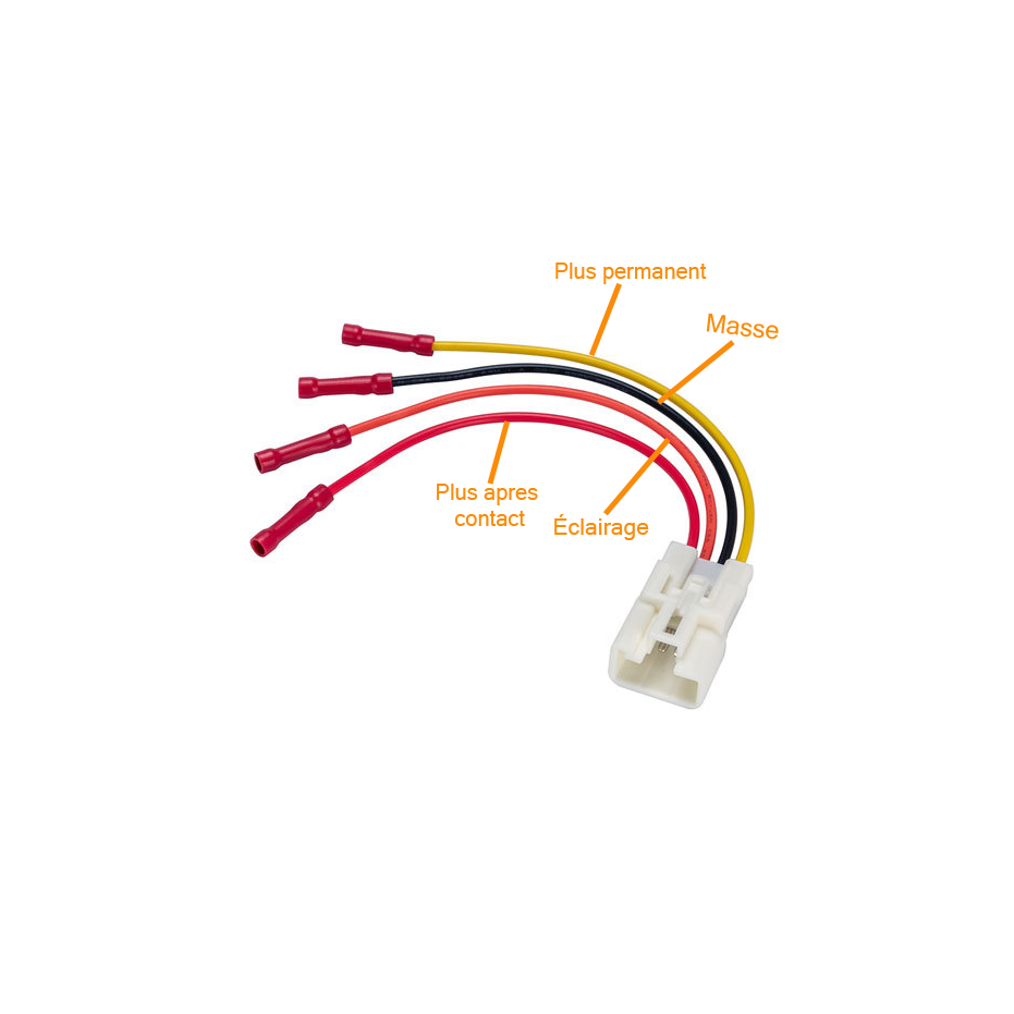 Faisceau spécifique manomètre raccordement a l'horloge 