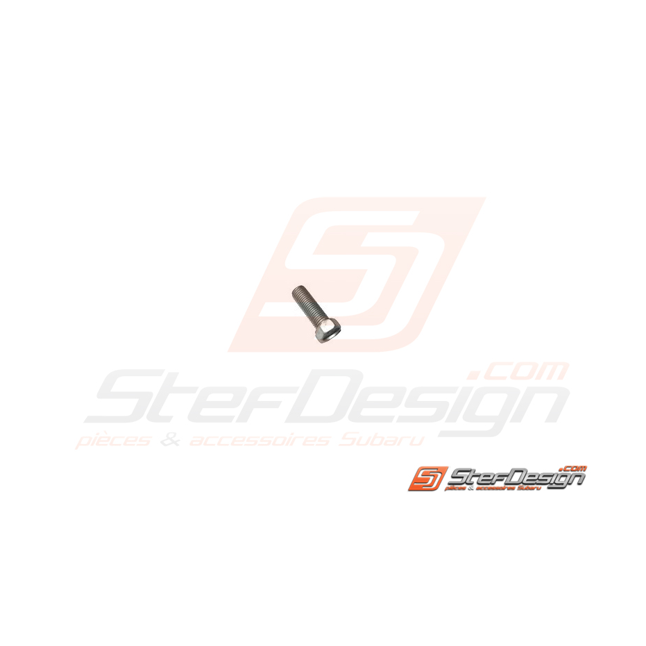 Vis échappement intermédiaire/silencieux