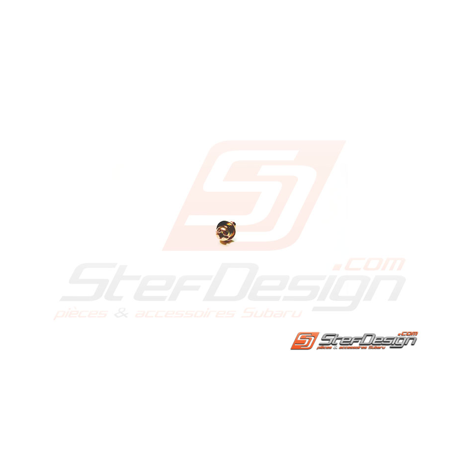 Vis de fixation capteur de pression absolue et de moteur pas a pas SUBARU WRX/STI 01-05