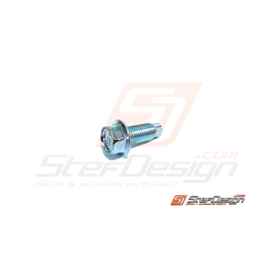 Vis de fixation de support down pipe STI 08-14