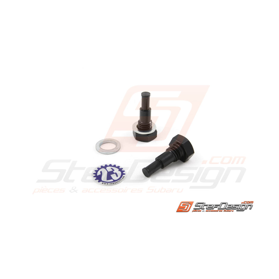 Broches bloque poulie arbres à cames FA20  Broches bloque poulie arbres à cames FA20