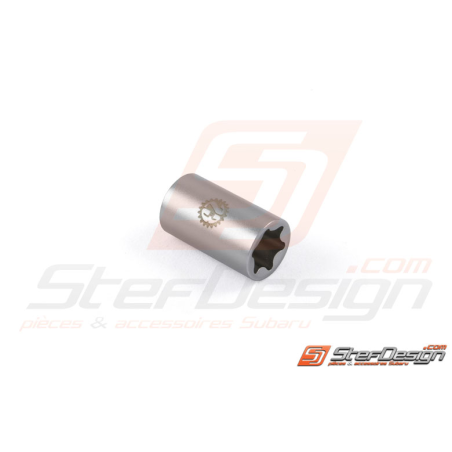 Douille torx E16 