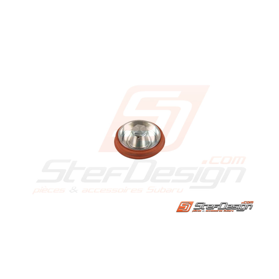 Diaphragme pour wastegate  F38 F41 V44