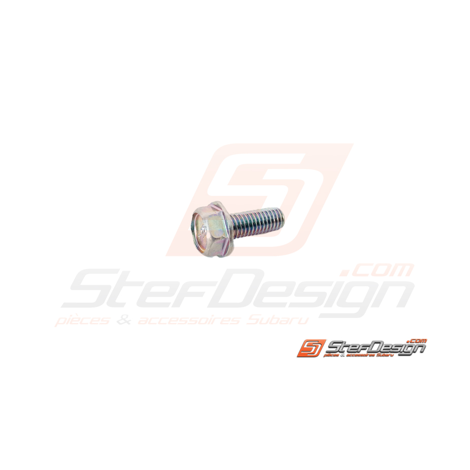 Vis de fixation tuyaux de modine 