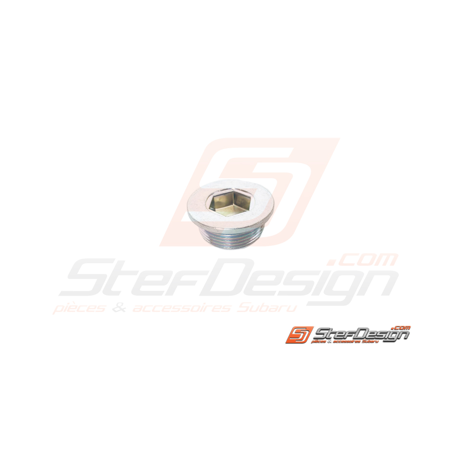 Bouchon d'axe de fourchette de boite 6 STI 06-15