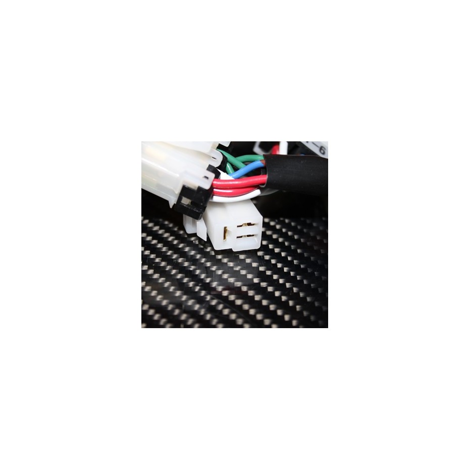 Harness HKS FT6 2008+