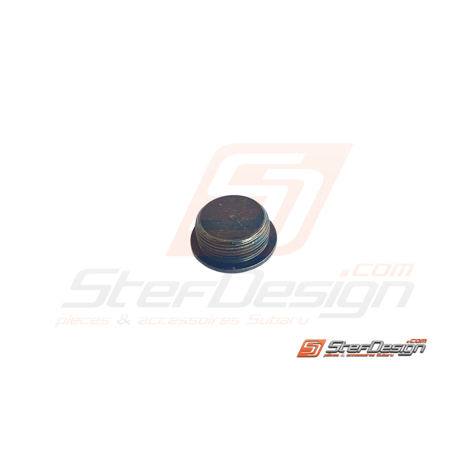 Bouchon d'accès axe piston bas moteur