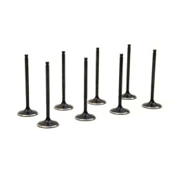 Kit soupapes admission RCM...