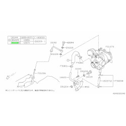 Durite d'eau turbo/culasse...