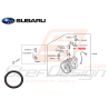 Joint torique connecteur/pompe de direction assistée Subaru FORESTER 05-0747454