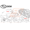 Tendeur de chaîne Origine Subaru Forester turbo Diesel 2014-201547564