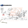 Durite d'huile AVCS/Turbo Origine Subaru WRX 06-07 STI 06-07 / 11-19 FORESTER 05-0747634