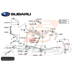 Tuyaux pieuvre d'eau Subaru...