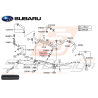 Tuyaux pieuvre d'eau Subaru GT 93-00 WRX 01-07 STI 01-14 FORESTER 05-0747651